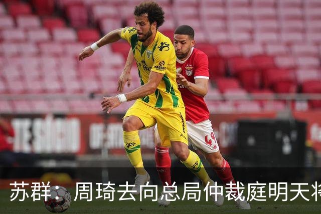 苏群：周琦去向总局仲裁庭明天将会给出结论